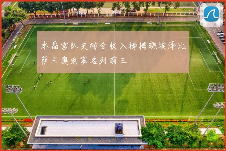 水晶宫队史转会收入榜揭晓埃泽比萨卡奥利塞名列前三