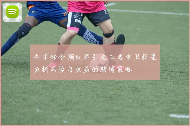 冬季转会期红军引进三名中卫新星分析风险与收益的赌博策略